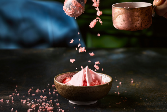 prithvi image for website 1